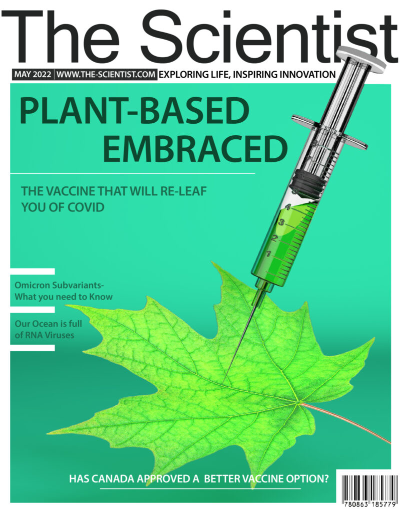 final outcome of 3D model and magazine cover layout.