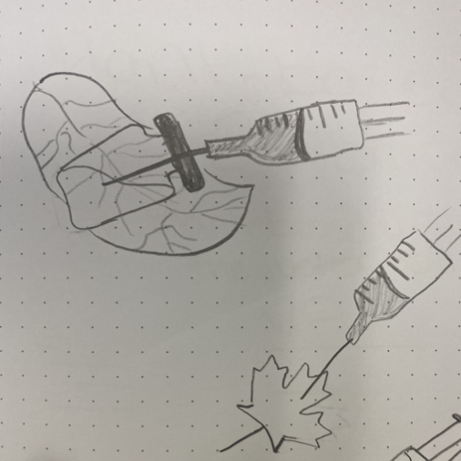 3d model option sketch
