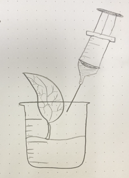 3d model magazine cover sketch